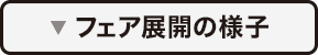 フェア展開の様子